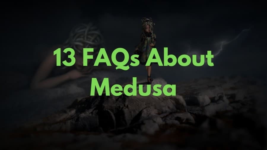 13 Frequently Asked Questions About Medusa
